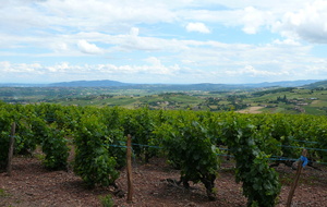 BB-Chessy, Saule Oingt, Ste Paule, Mtée de GLAY - 82,4 km