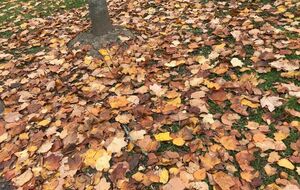 BB-Lozanne-St Euphémie-Toussieux-Trévoux-Civrieux - 71,9 km