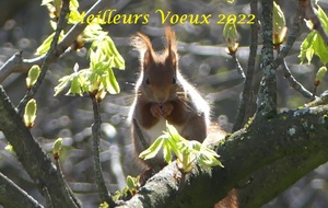 Limas -Pommiers-Charnay - 72,3 km