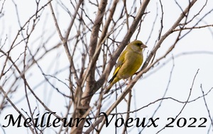 BB Saône  Les Echêts Monthieux Neuville Saône - 73,5 km