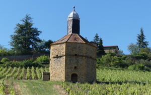 BB-FRONTENAS-SARCEY-VIGNERONS-FLEURIEUX - 66,7 km