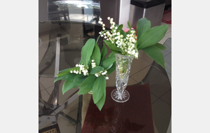 Rallye du Muguet Gleizéen