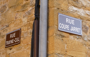 BB-Oingt-Cogny-Gleizé-Pommiers - 84,5 km