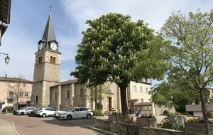 JF-Luère- St André la Côte-Mornant ou Les 6 SAINTS - 73,4 km
