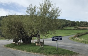 BB-A l'envers Ste Paule-La Maladière - 76,4 km