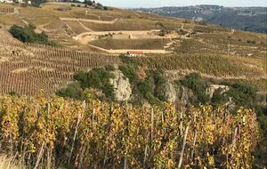 JF-Givors-Echalas-Recru-Ampuis-Pilon-Tartaras-Souccieu - 100 km