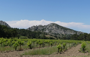 CYCLOSPORTIVE Les BOSSES de PROVENCE